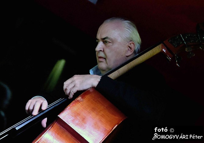 Gayer Ferenc nagybőgőzik egy koncerten